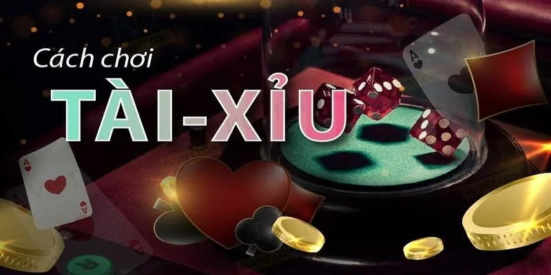 mẹo chơi tài xỉu online luôn chiến thắng